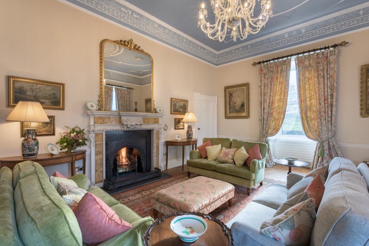 Drawing room fireplace