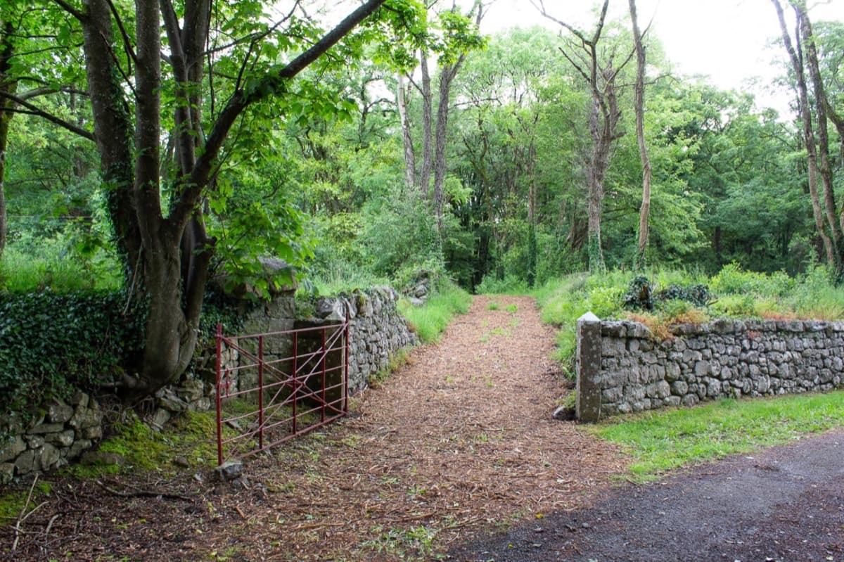 Forest trail entrance