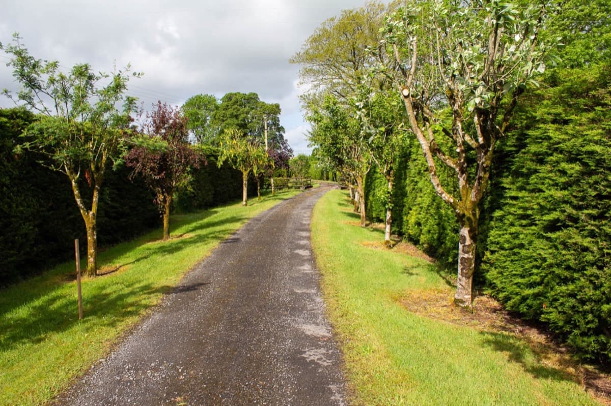 The main driveway approach