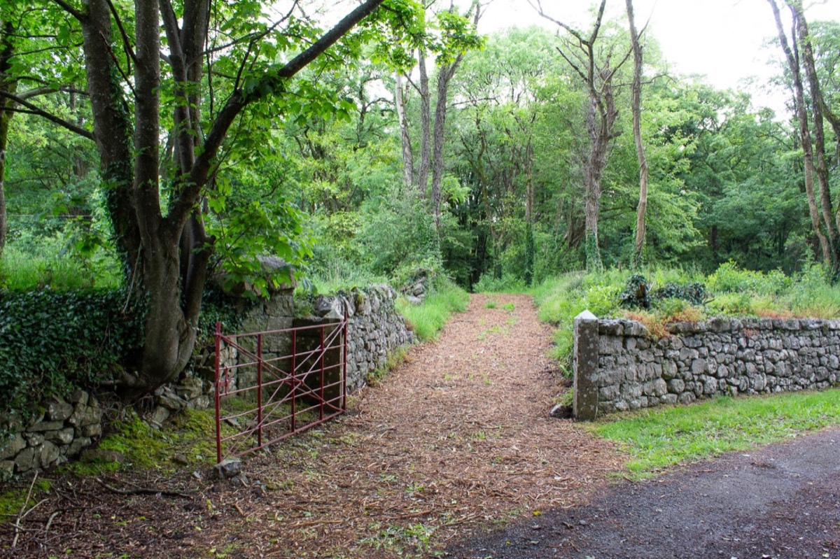 Forest trail entrance