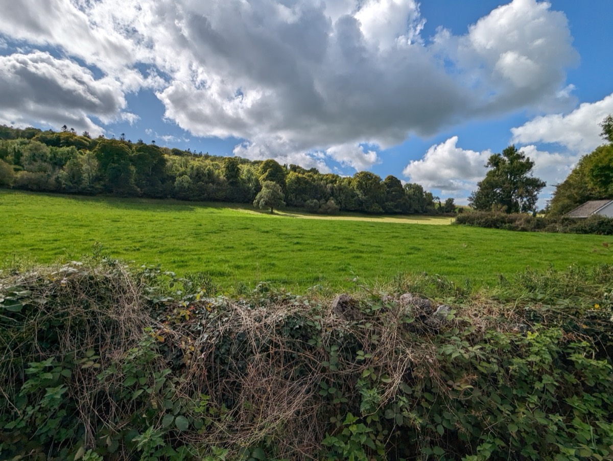 Knockma Hill — views across County Galway